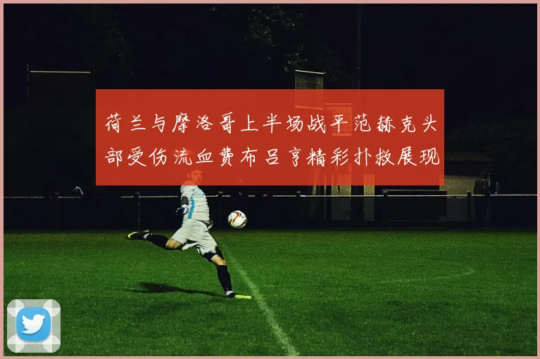 荷兰与摩洛哥上半场战平范赫克头部受伤流血费布吕亨精彩扑救展现实力